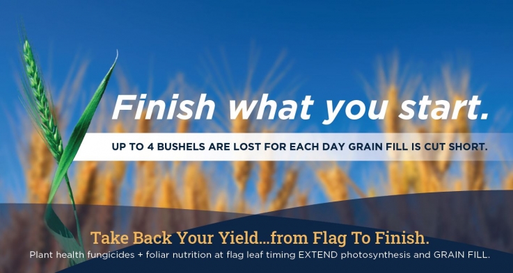 TAKE BACK YOUR YIELD