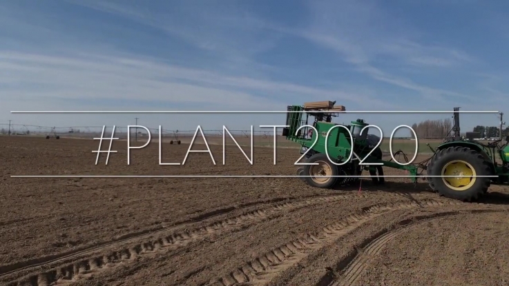 Plant 2020