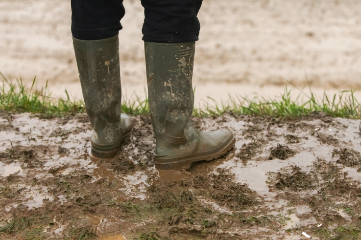 Prevent Planting: Clear as the mud on my boots